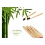 efillooc Glorysmile Natural Bamboo Tooth Brush Set of 4 adult soft