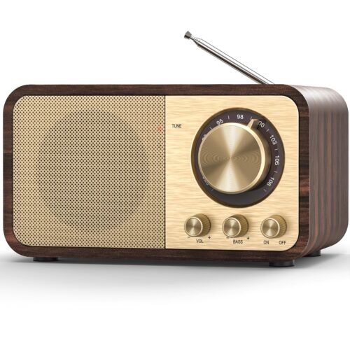 efillooc jy-66 retro fm radio wireless speaker