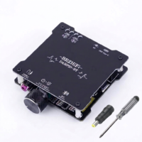 BRZHIFI DAMP20-BT5 Audio Amplifier Board Module TPA3116 with USB C